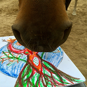 Equine facilitated learning